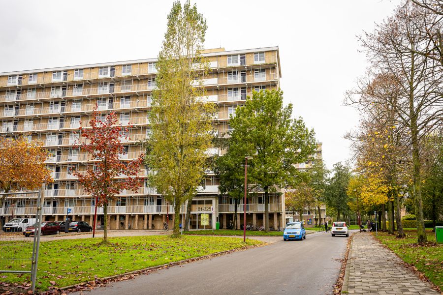 Illustratie Nijpelsplantsoen